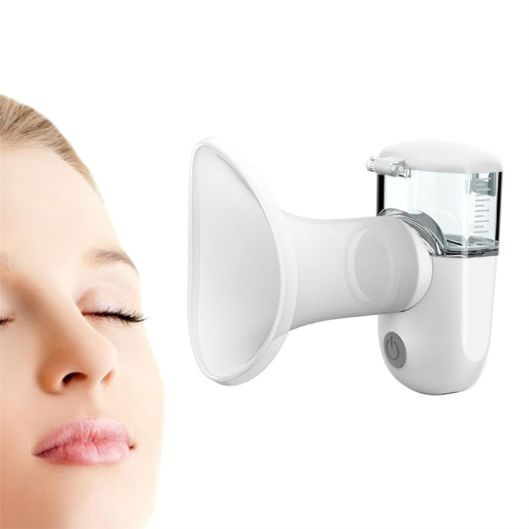 Rechargeable Eye Sprayer Mini Face Steamer Humidifier with Fine Mist