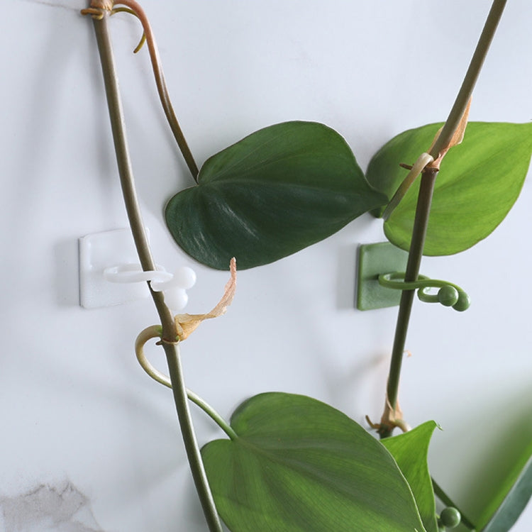 50pcs Plant Climbing Wall Buckle Vine Traceless Plant Fixer Self-Adhesive Hooks