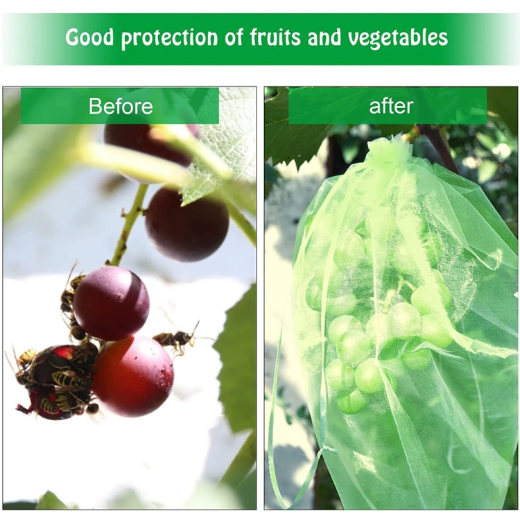 100pcs /Pack  Fruit Protection Bag Anti-Insect And Anti-Bird Net Bag