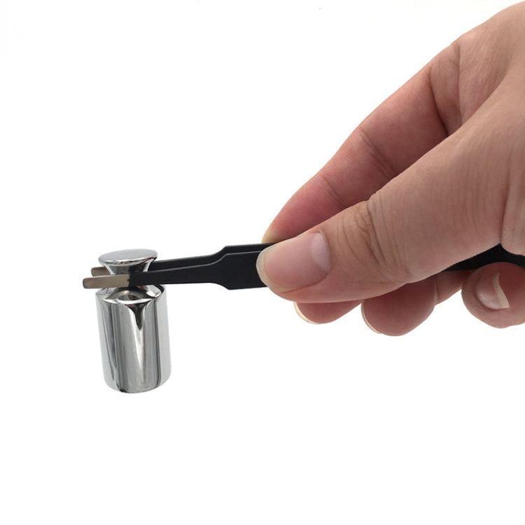 Stainless Steel Standard Weights