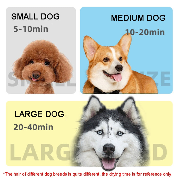 2100W Dog Dryer Stepless Speed Pet Hair Blaster Pet Water Blower