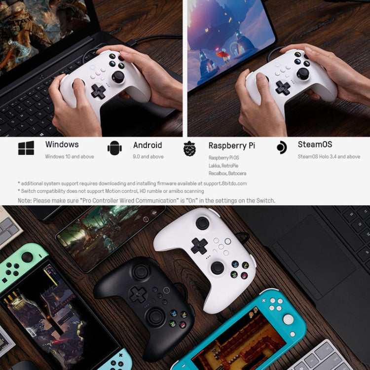 8BitDo For Switch / PC USB Wired Gamepad