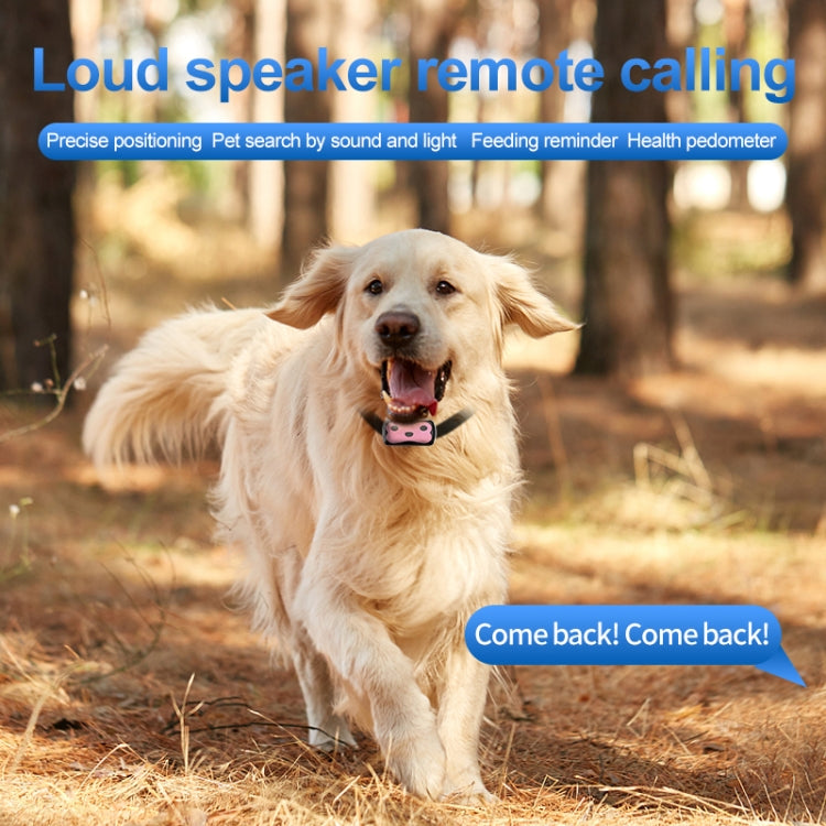 GPS Wireless Wifi Pet Location Chasing Cat Dog Collar Anti-loss Locator