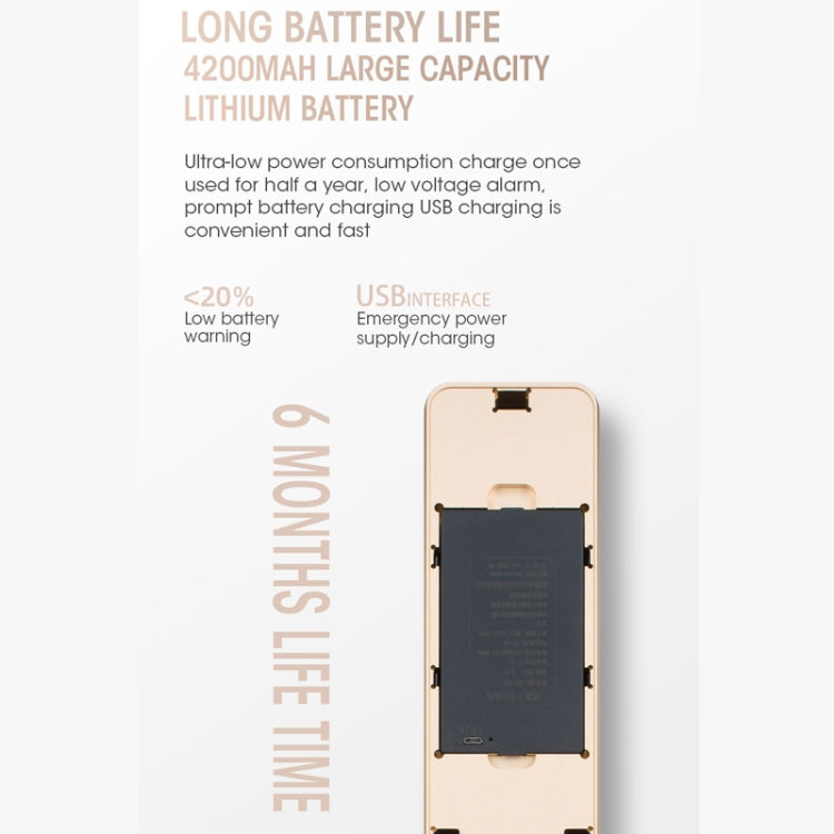 T100A  3D Face Recognition Fingerprint Code Card Digital Door Lock