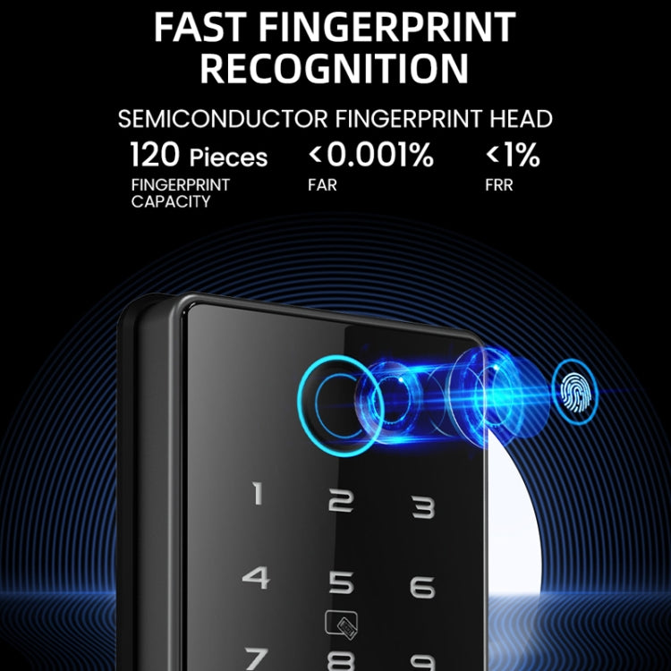 C87 Automatic Fingerprint Lock Entry Door Password Smart Lock