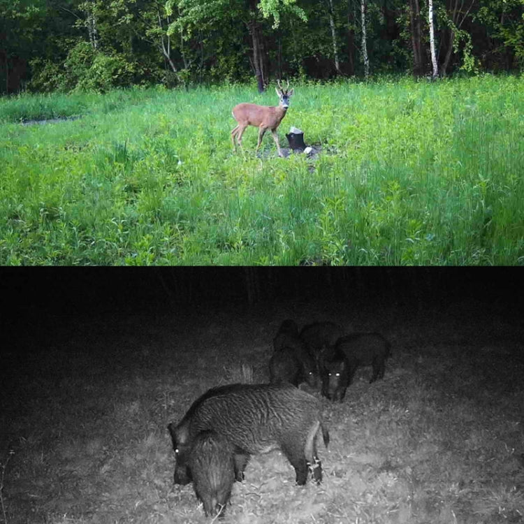 2.7K Outdoor Tracking Camera Infrared Night Vision Monitoring Hunting Camera