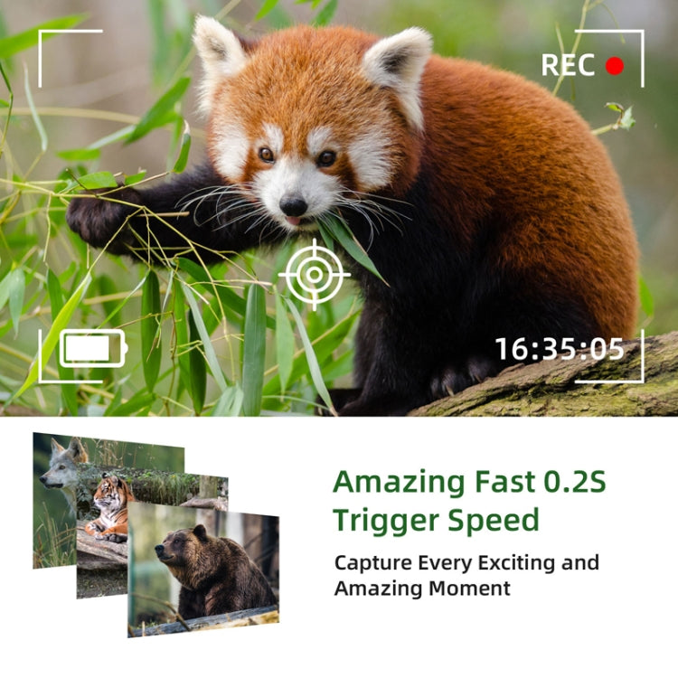 4K Outdoor Tracking Hunting Camera APP Remote Phone Control To View Photos / Video At Any Time