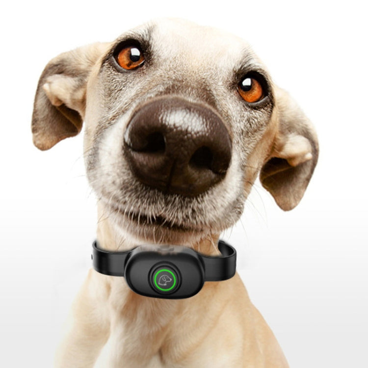 Auto Stop Barker Pet Shock Collar Dog Trainer