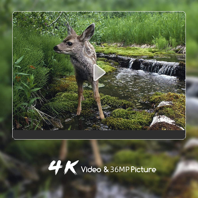 4K Outdoor Tracking Hunting Camera App Remote Phone Operation To View Photos / Videos At Any Time