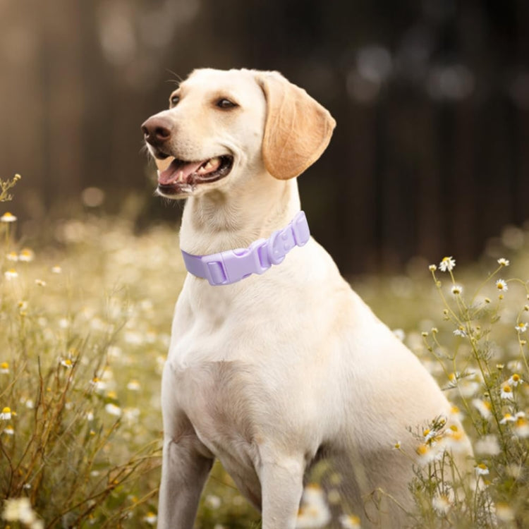 Adjustable Leash Dog Collar Waterproof Pet Traction Coil