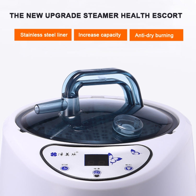 1000W Portable Steam Sauna Spa With Pot Set Weight Loss Skin Spa Machine