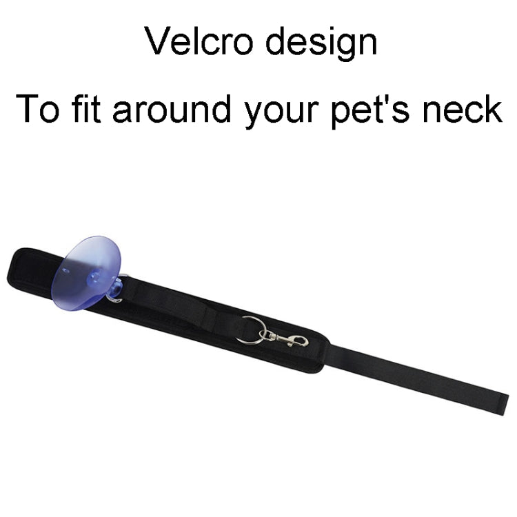 Universal Grooming And Bathing Leash For Dogs And Cats Suction Cup Collar For Pet Bathing