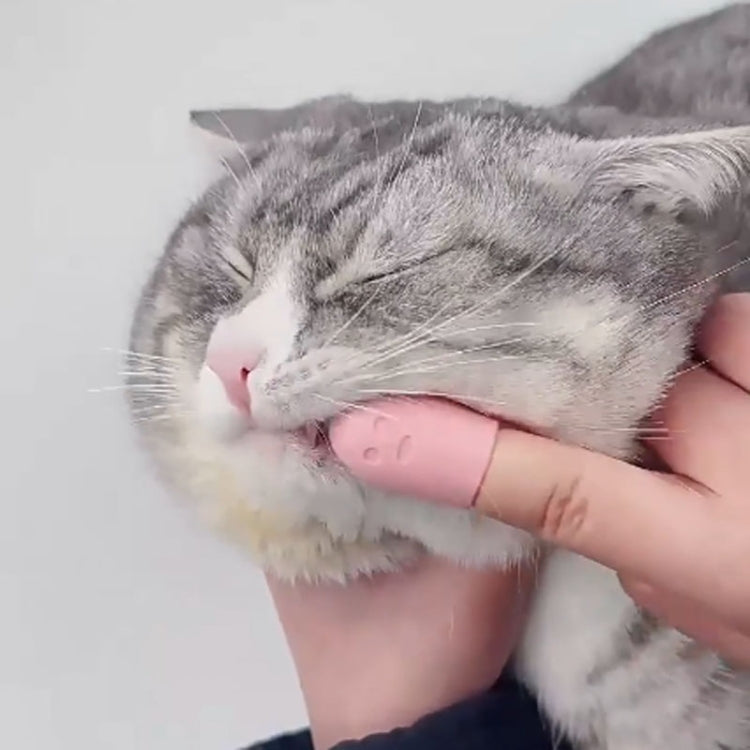 Pet Cats Dog Cleaning Comb Chin Teeth Cleaning Brush Silicone Brush