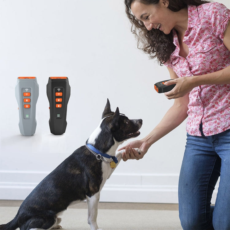 LED Flashing Light Handheld Ultrasonic Bark Arrester Frequency Conversion Dog Training Device