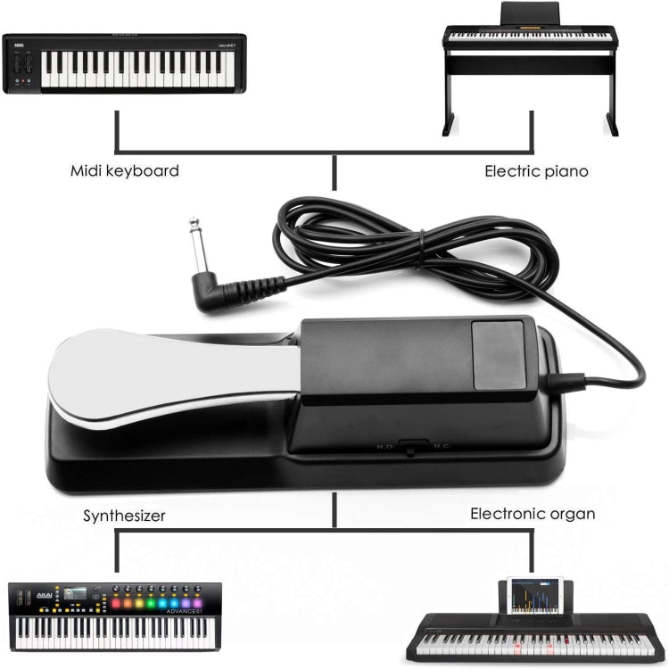 PL-02 6.35mm Connector Piano Sustain Pedal MIDI Synthesizer Pedal Musical Instrument Accessories