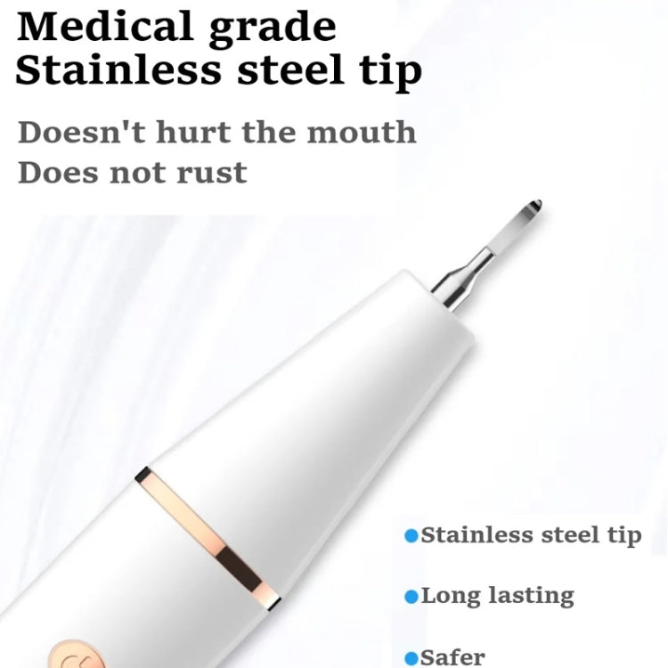 Ultrasonic Electric Dental Scaler Teeth Plaque Cleaner Dental Stone Removal With LED Light