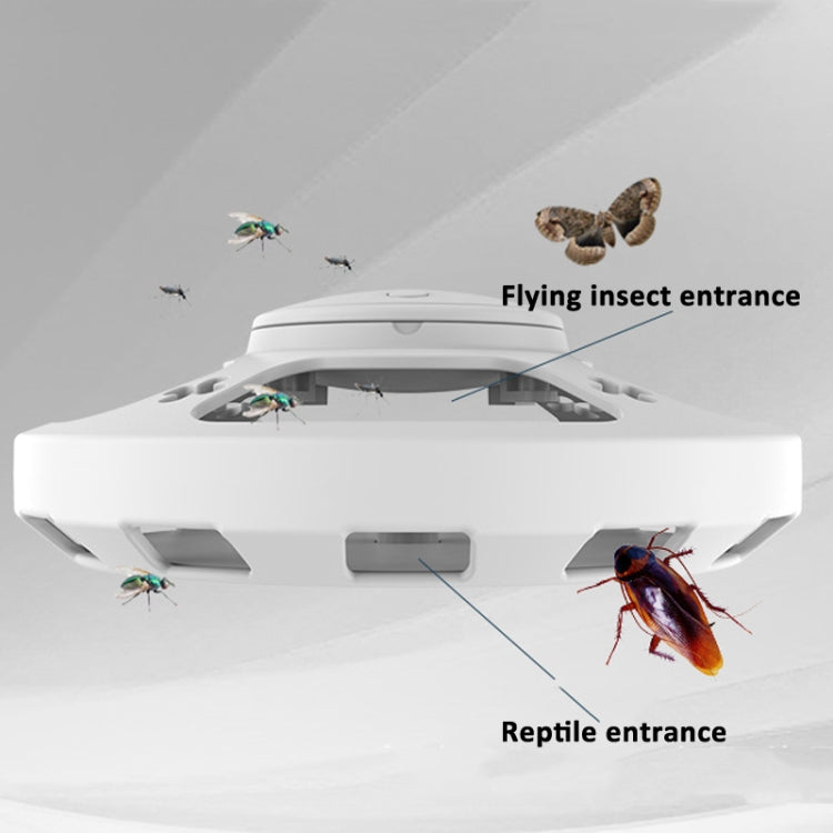Flea Fly Mosquito Trap Cockroach House with Warm And Purple Light