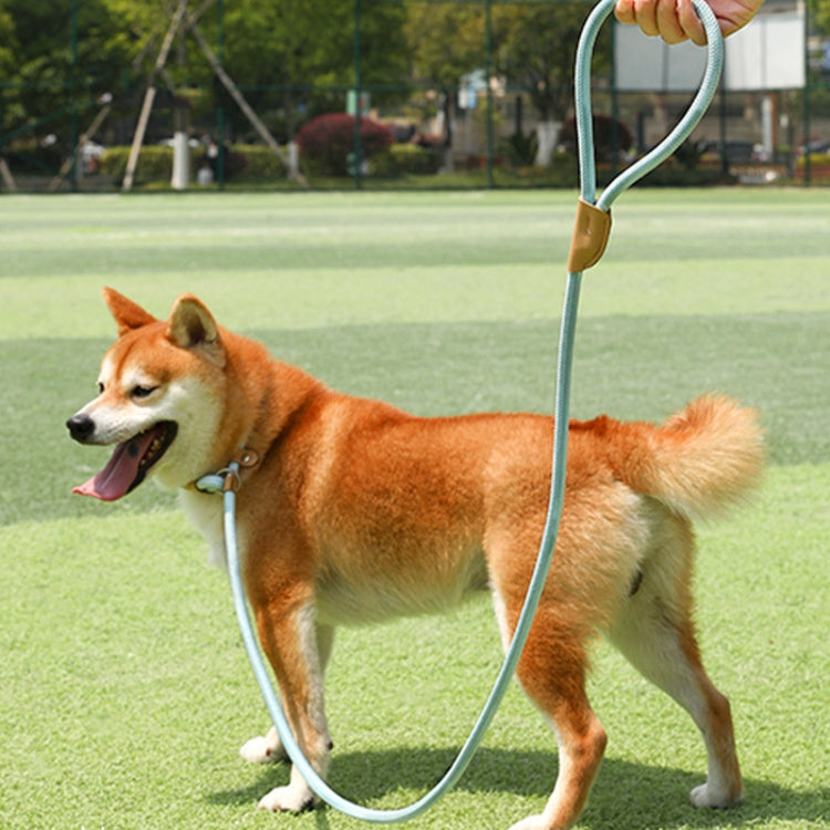 Dog Traction Rope Mid Large Dog Universal Safety Buckle Chain Circle