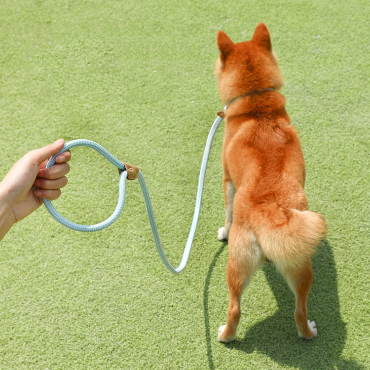Dog Traction Rope Mid Large Dog Universal Safety Buckle Chain Circle