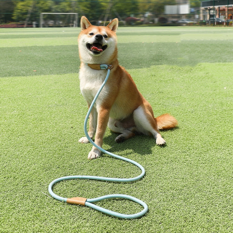 Dog Traction Rope Mid Large Dog Universal Safety Buckle Chain Circle