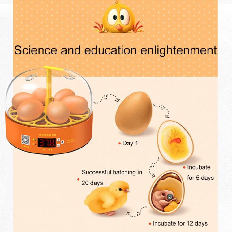 6-Eggs Small Household Experimental Children Smart Chicken Incubators