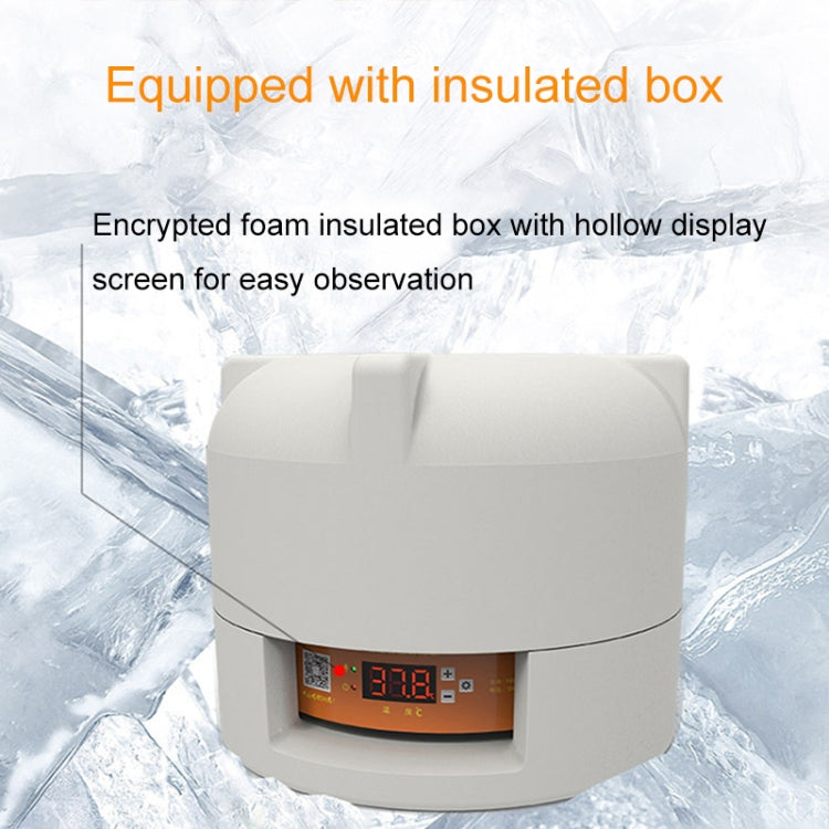 6-Eggs Small Household Experimental Children Smart Chicken Incubators