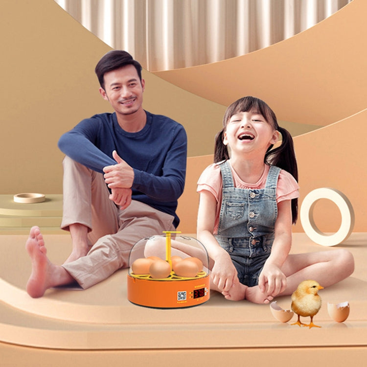 6-Eggs Small Household Experimental Children Smart Chicken Incubators