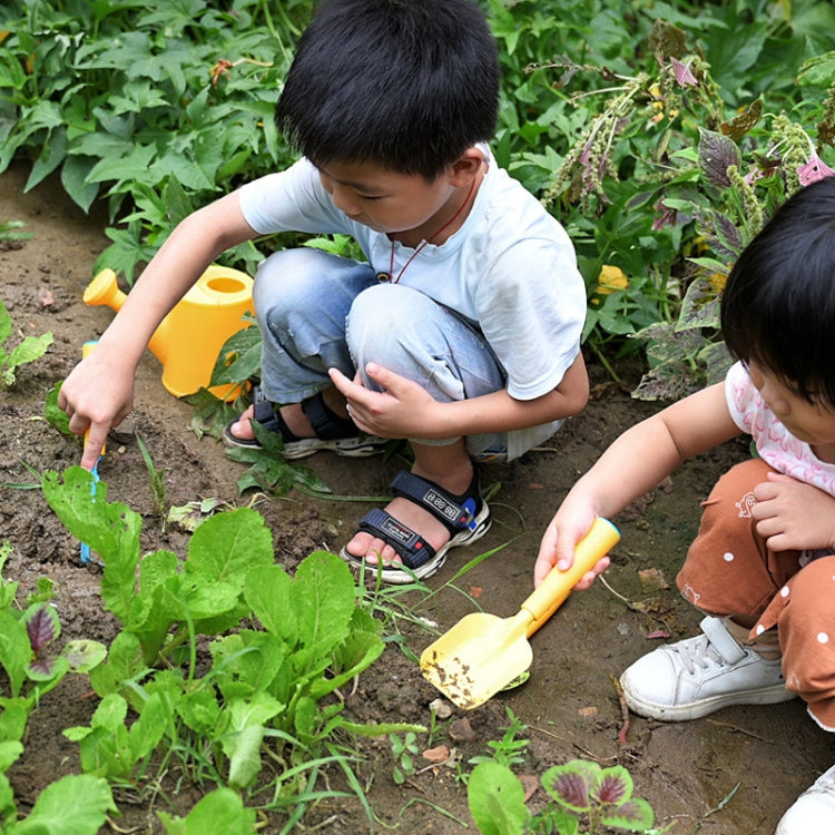 Beach Seawater Tools Set Vegetable And Flowers Gardening Equipment