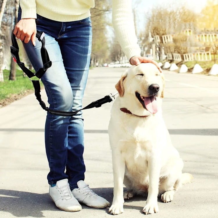 Dog Vehicle Seat Belt Rope Elastic Cushioned Towing Leash
