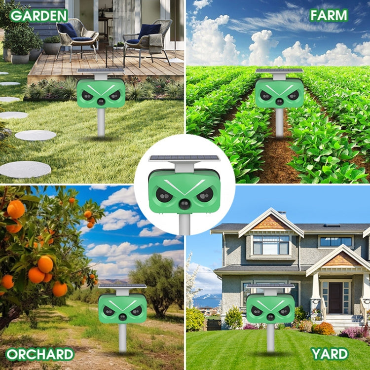 Outdoor Solar Animal Repeller Multi-functional Bird/Cat/Rat Repeller