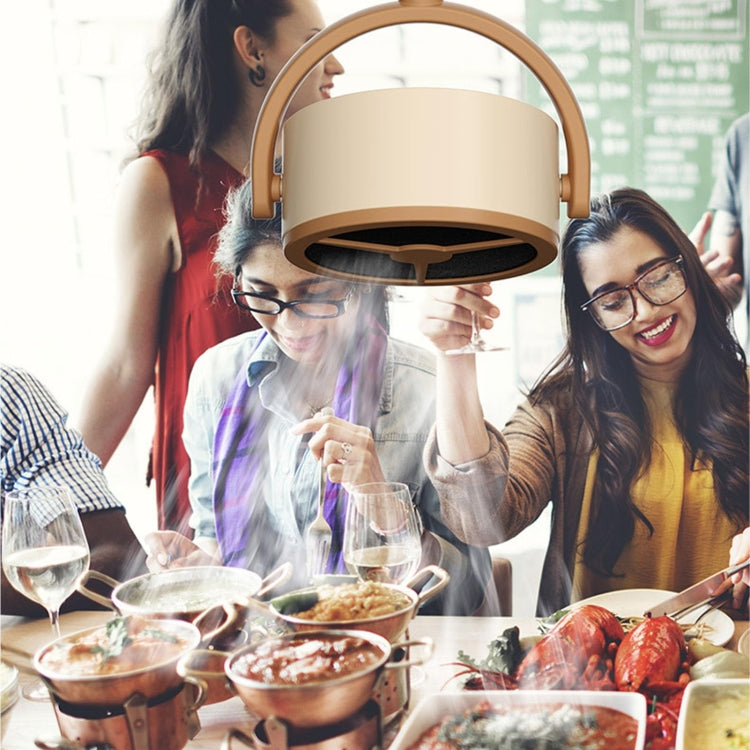 Small Desktop Range Hood Mini Portable Desktop Range Hood