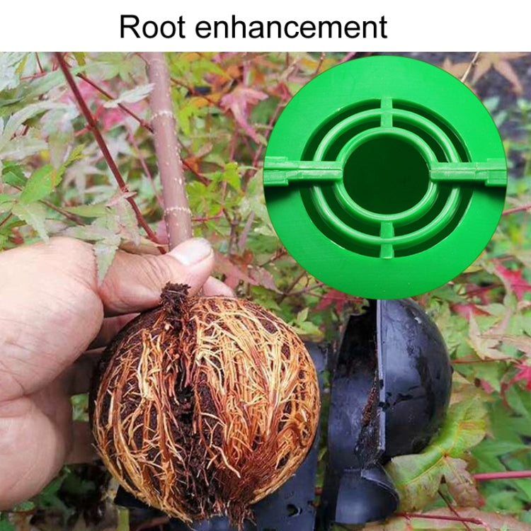 2pcs Plants Growth High Pressure Box Spherical Root Controller Grafting Root Cases