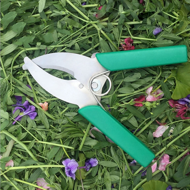 Fruit Tree Cutting Shears Seedling Stripping Scissors Garden Planting Branch Bark Cutter