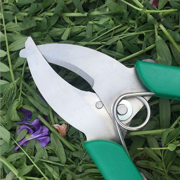 Fruit Tree Cutting Shears Seedling Stripping Scissors Garden Planting Branch Bark Cutter