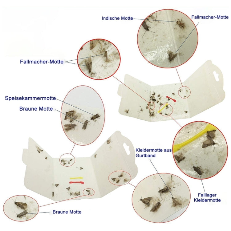 Moth Catcher Insect Trap Sticker