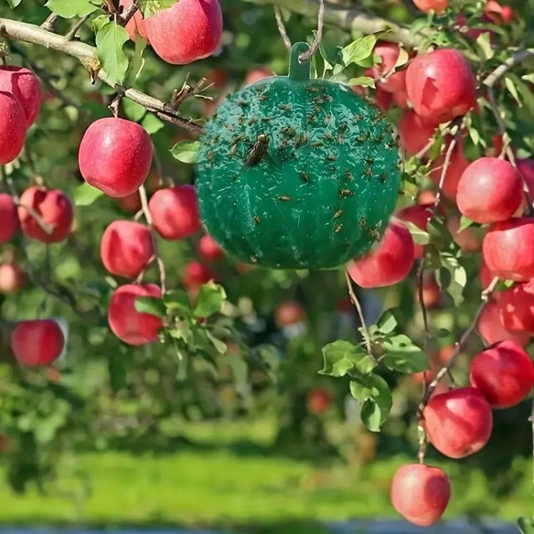 Outdoor Fruit Fly Mosquito Citrus Trap Sticky Ball