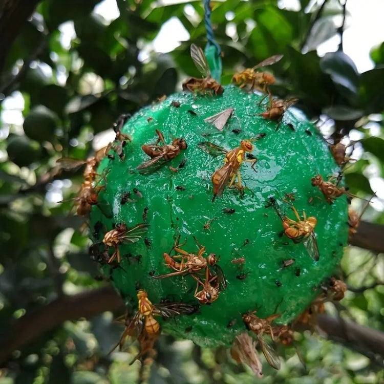 Outdoor Fruit Fly Mosquito Citrus Trap Sticky Ball