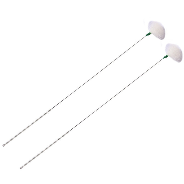 2pcs Medium Heads Silver Needle Goose Quill Stick Ear Picking Tool