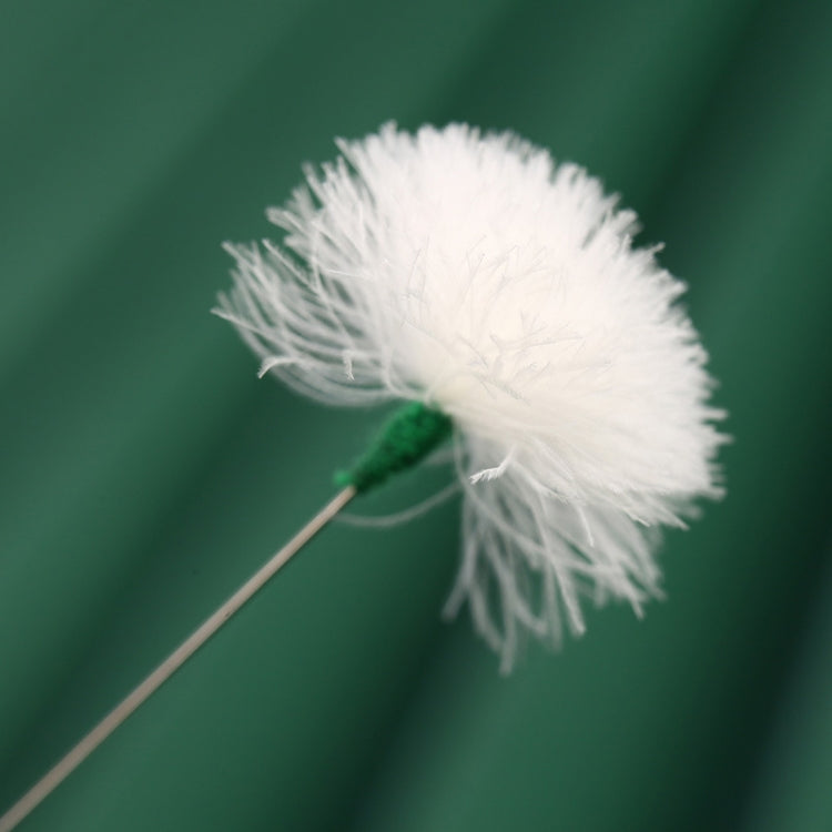 2pcs Medium Heads Silver Needle Goose Quill Stick Ear Picking Tool