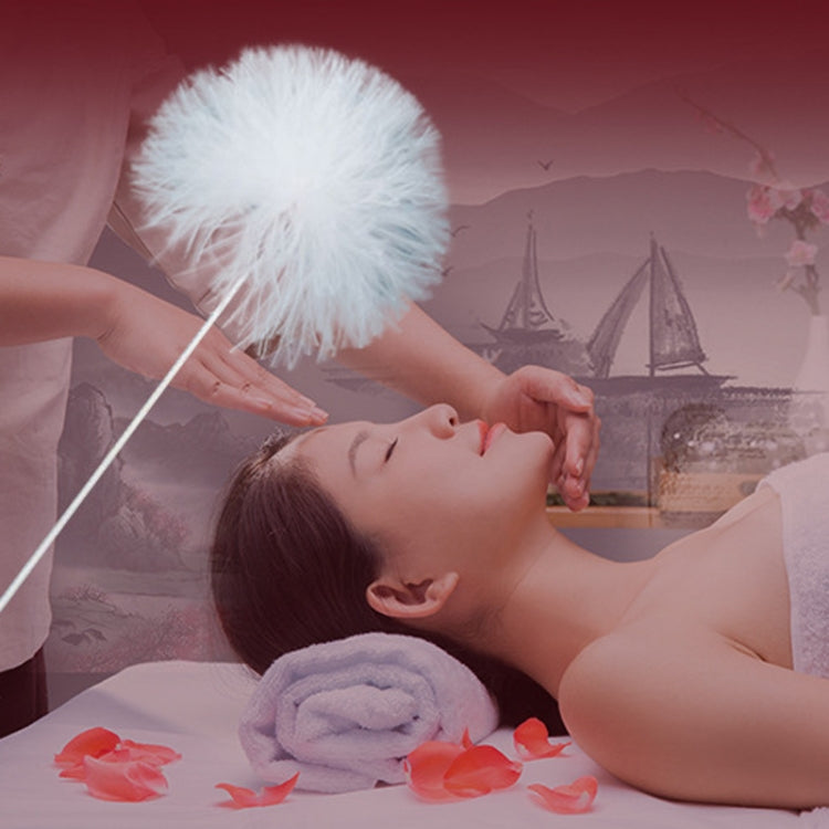 2pcs Medium Heads Silver Needle Goose Quill Stick Ear Picking Tool