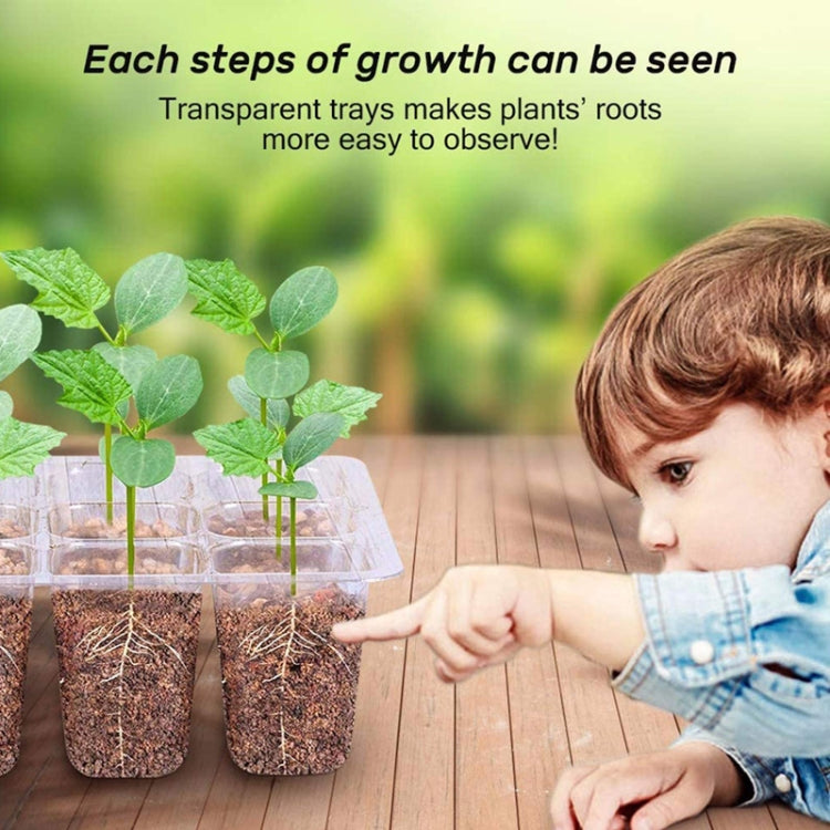 12-Hole Heightened Succulent Vegetable Seedling Pot With Lid