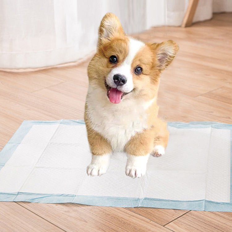 Pet Training Pads Thickened Water-Absorbent Dog Nappy Pad Diaper