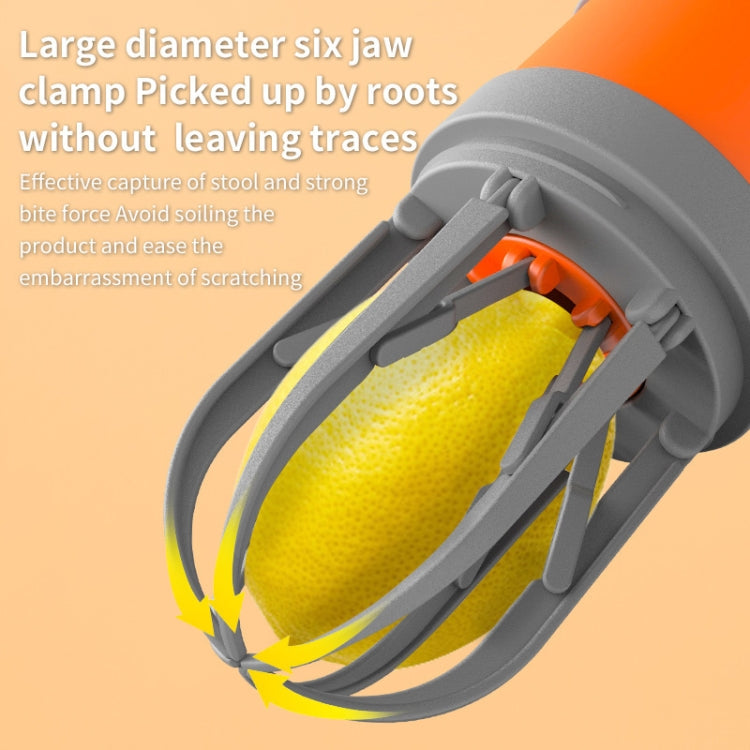 Pet Outing Portable Poop Scooper Dog Feces 6 Claws Pick Up Tools