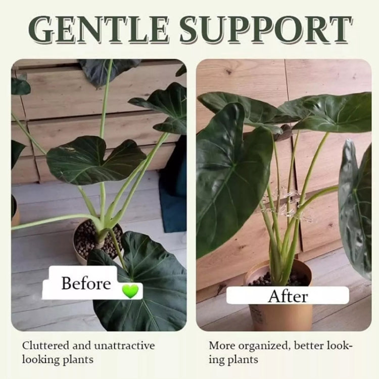 Plant Roots Fixing Bracket Gardening Care Tools