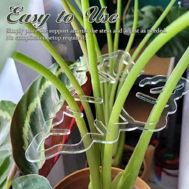 Plant Roots Fixing Bracket Gardening Care Tools