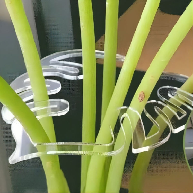 Plant Roots Fixing Bracket Gardening Care Tools