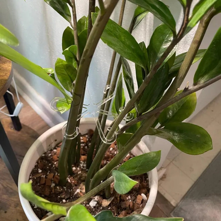 Plant Stem Support Bracket Garden Vegetable Plant Root Stem Holder