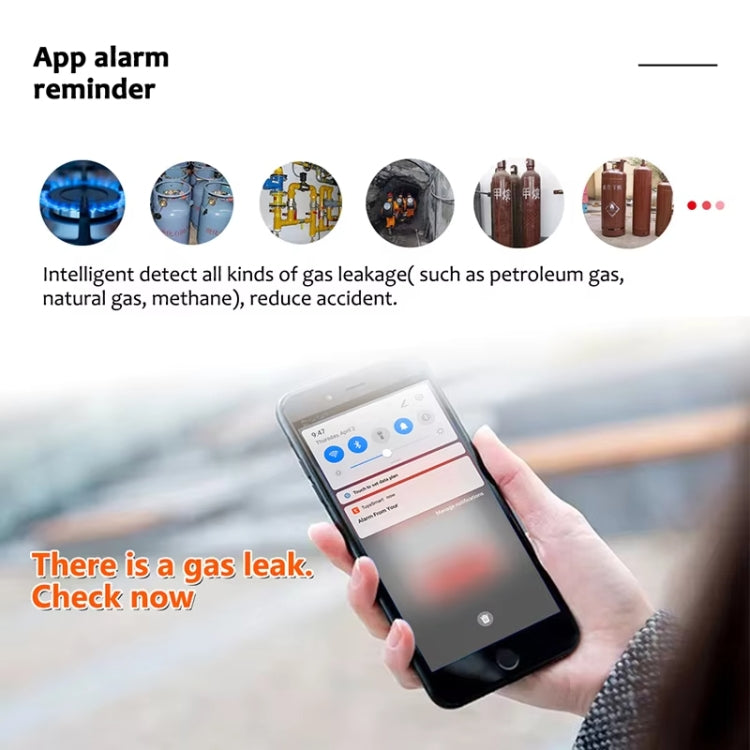 Tuya WiFi Gas Leak Detector With Temperature Clock Function Support Human Voice Alarm