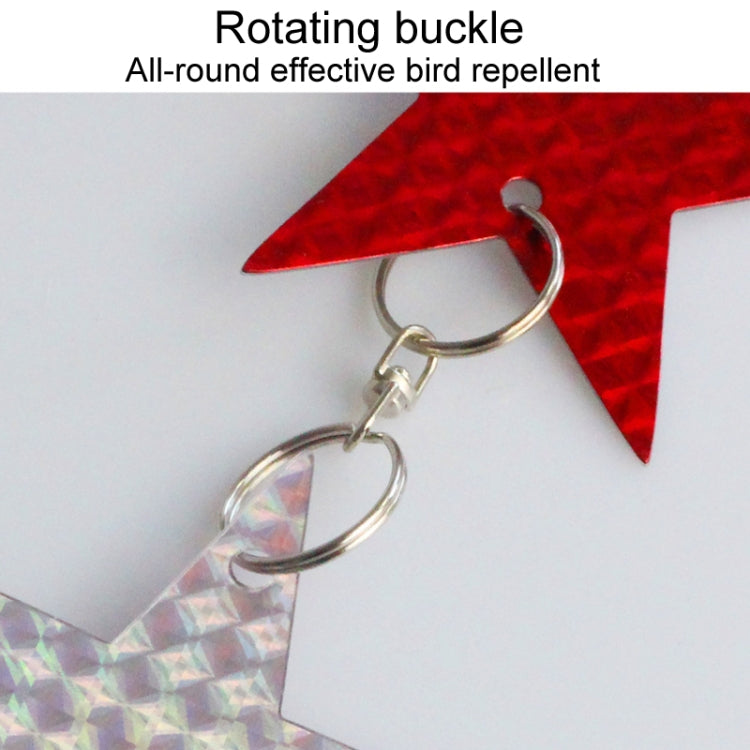 Garden Bird Repellent Decorative Pentagram Hanging Laser Reflective Piece