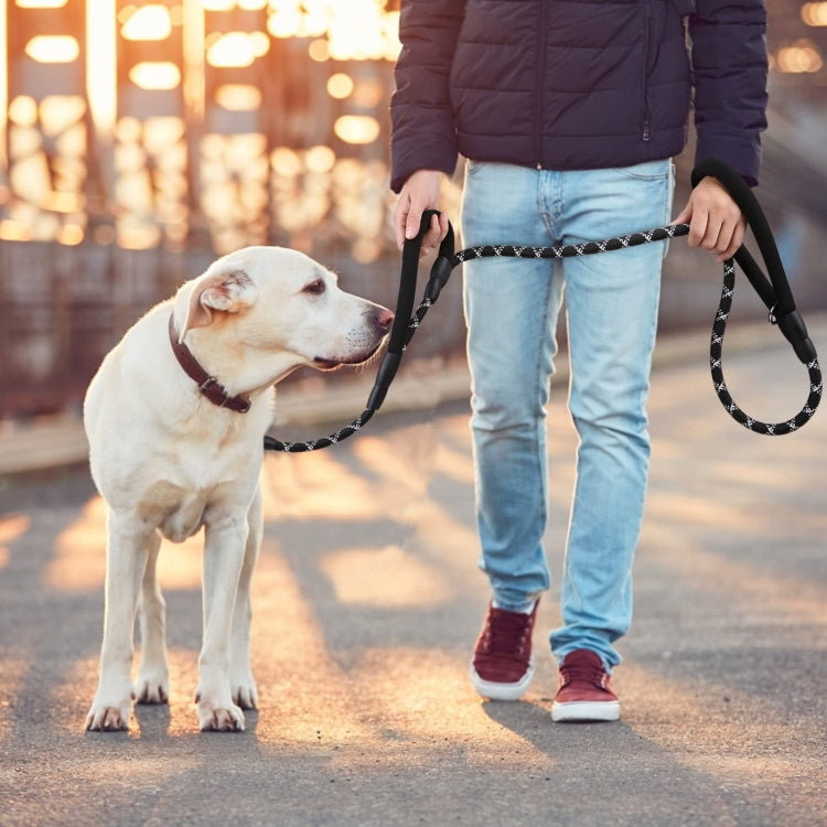 Double Handle Dog Leash Nylon Reflective Rope for Control Safety Training